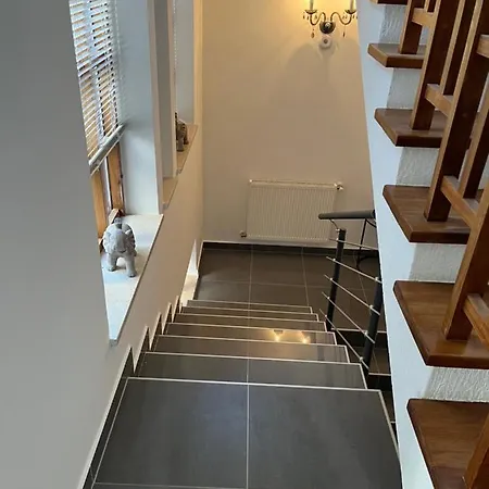 Apartment Black Pearl Souterain 5 Personen With Free Ev Ch-station